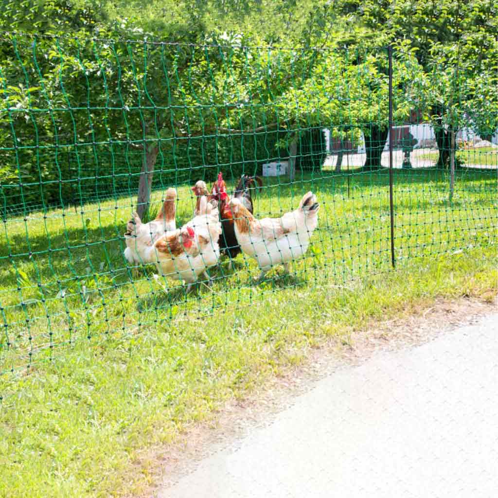Chicken Fencing 25m | Non-Electric | Kerbl