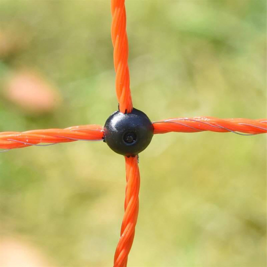 Chicken Fencing 50m | Electric