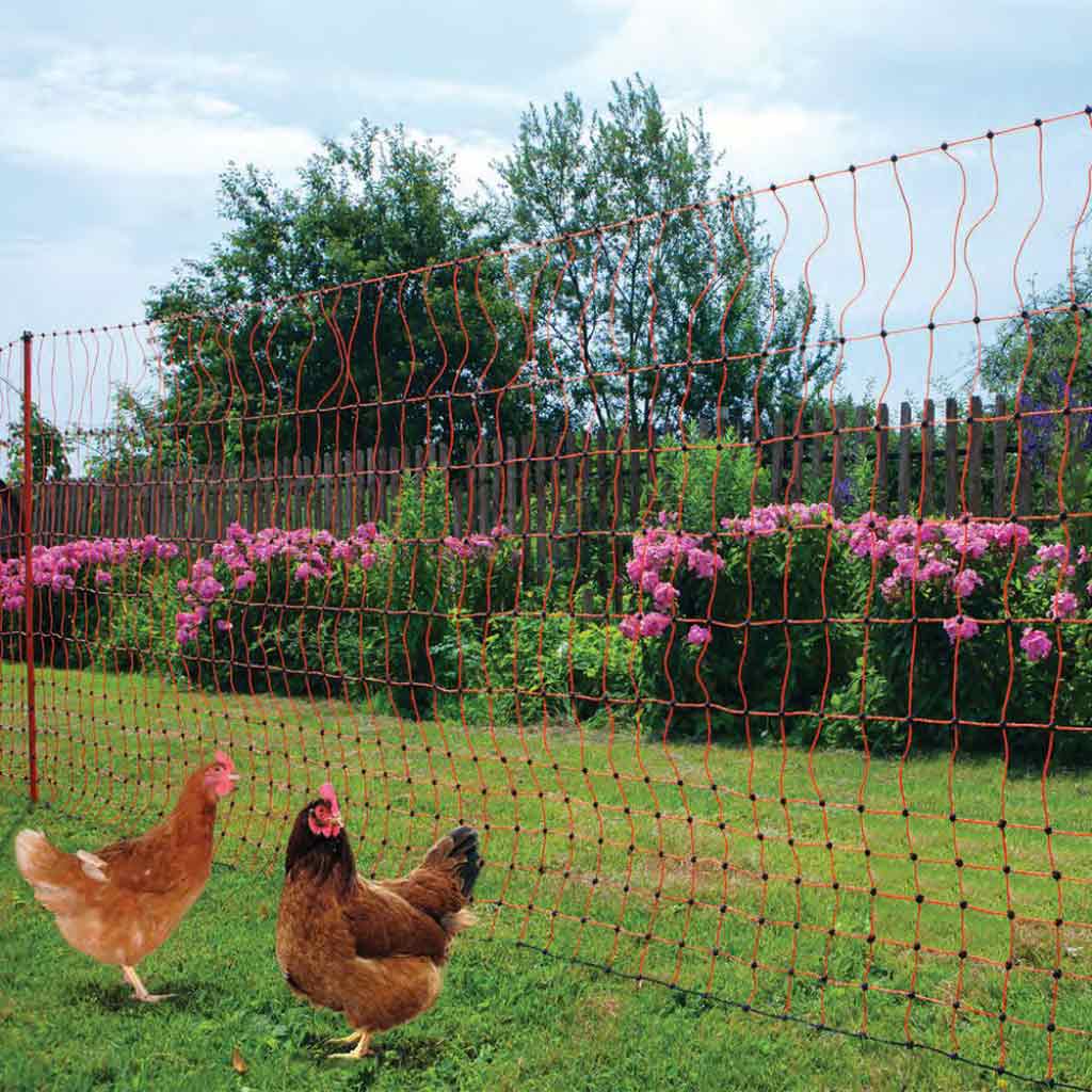 Chicken Fencing 50m | Electric
