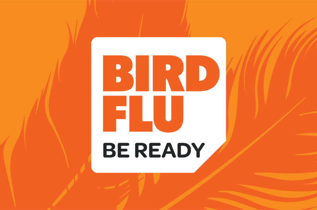Protect Your Flock From Bird Flu