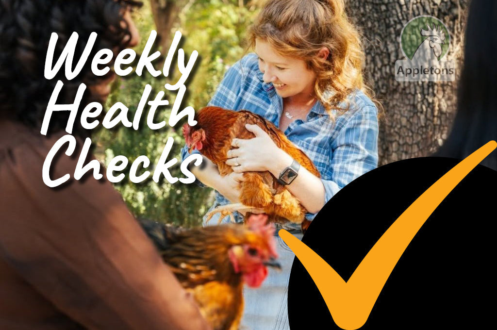 Beak-to-Tail | Chicken Health Checks