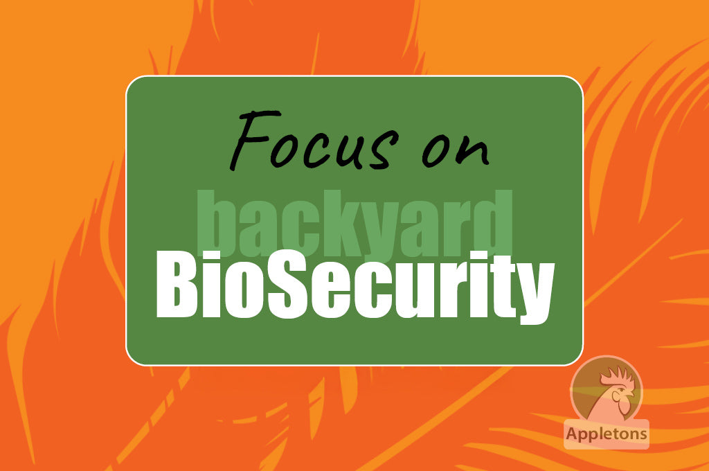 Protect Your Flock From Bird Flu
