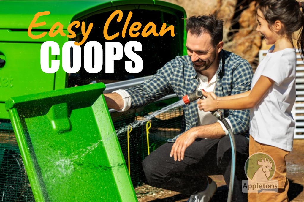 Make Your Chicken Coop Easy To Clean