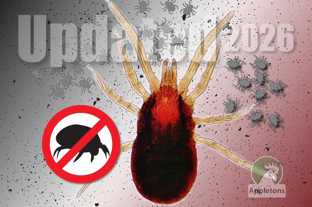 Red Mite in Poultry Housing 😡 What To Do