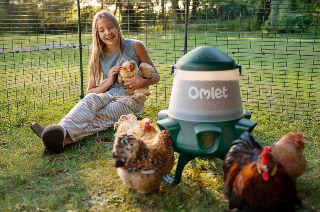 What Is the Best Poultry Feeder for My Flock
