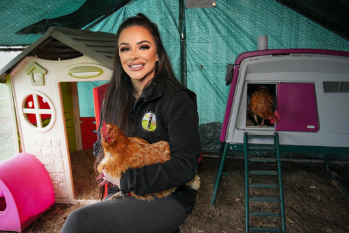 Meet Kat Hen Hotel Owner Omlet