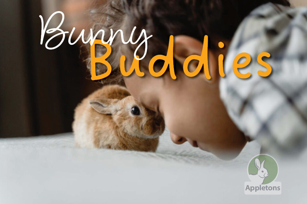 Best Buddies - Bonding with Your Rabbit