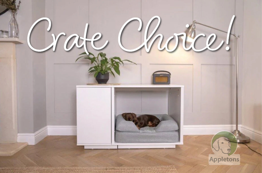 Best Dog Crates