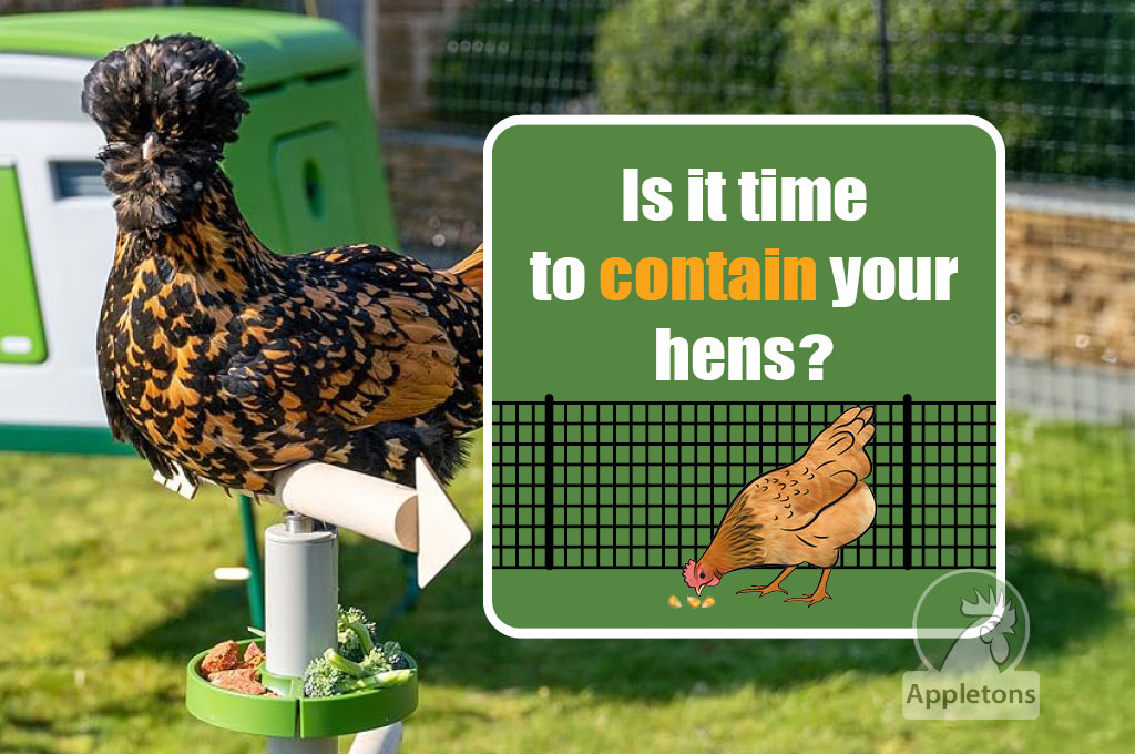 Contain Your Hens