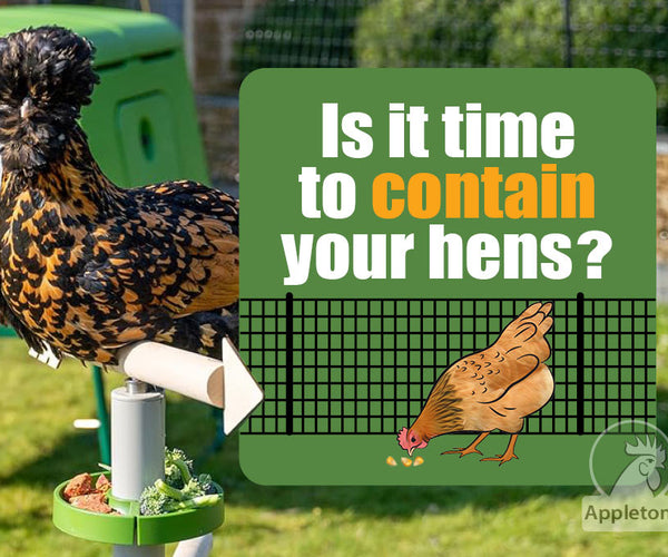 Contain Your Hens | How to Chicken Proof Your Garden