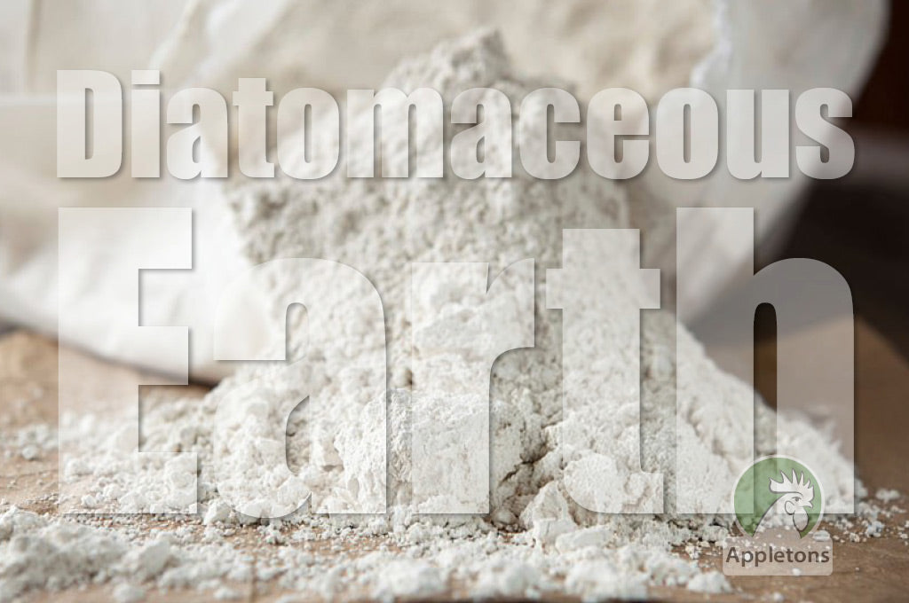 diatomaceous earth