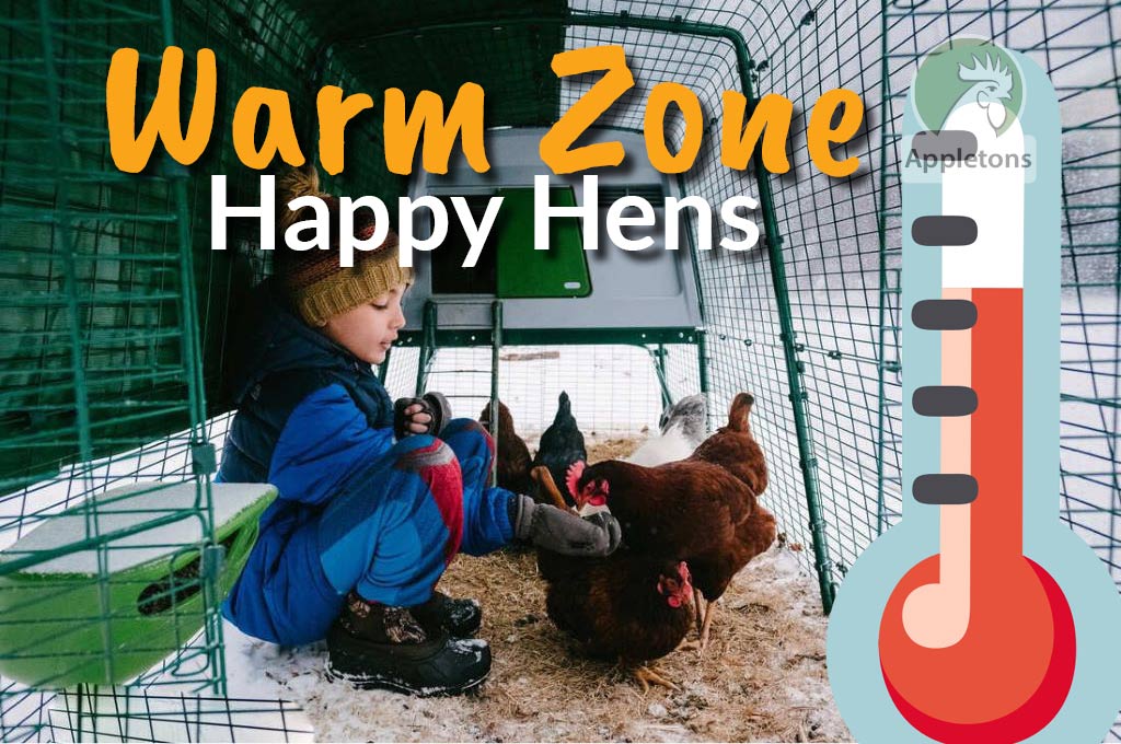 Blog Eglu Cube Versus Wooden Coop