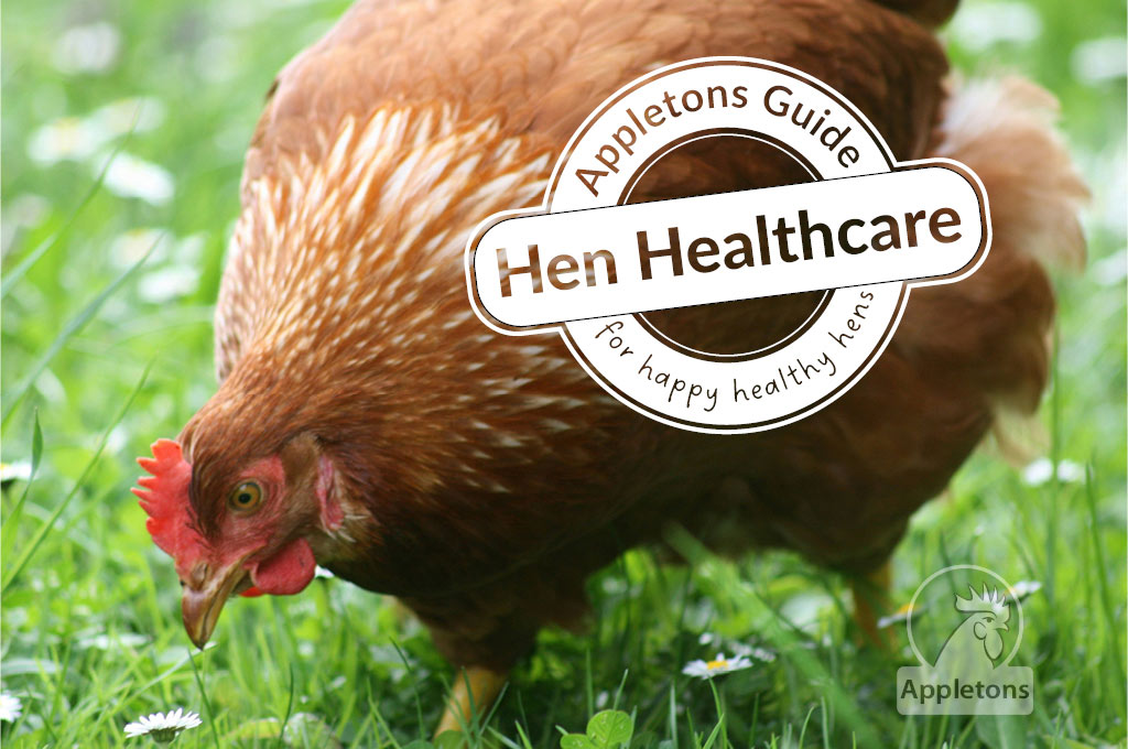 Happy Healthy Hens Healthcare