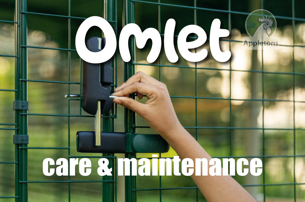 Blog How Do I Care for my Omlet Pet Run