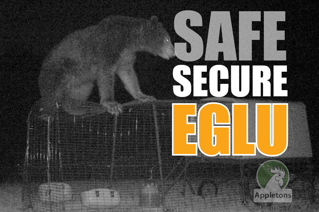 Blog How Strong Are Eglu Chicken Coops