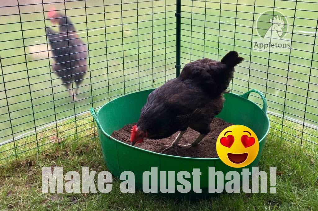 How To Make a Dust Bath