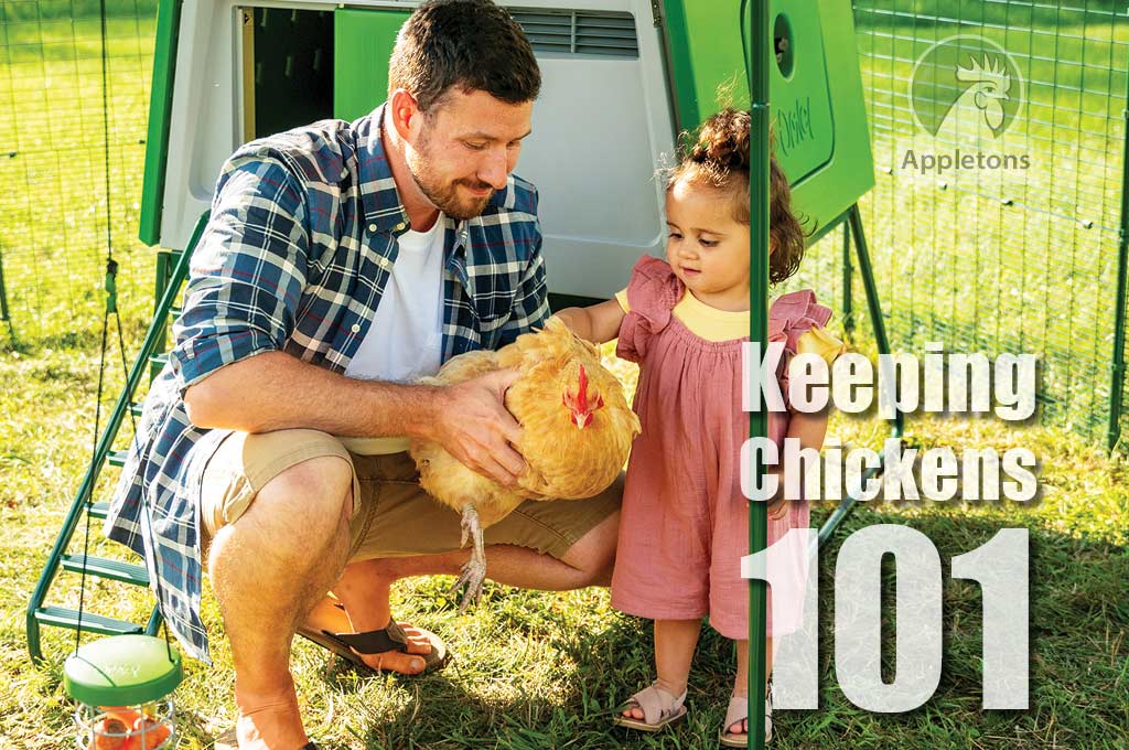 Keeping Chickens 101