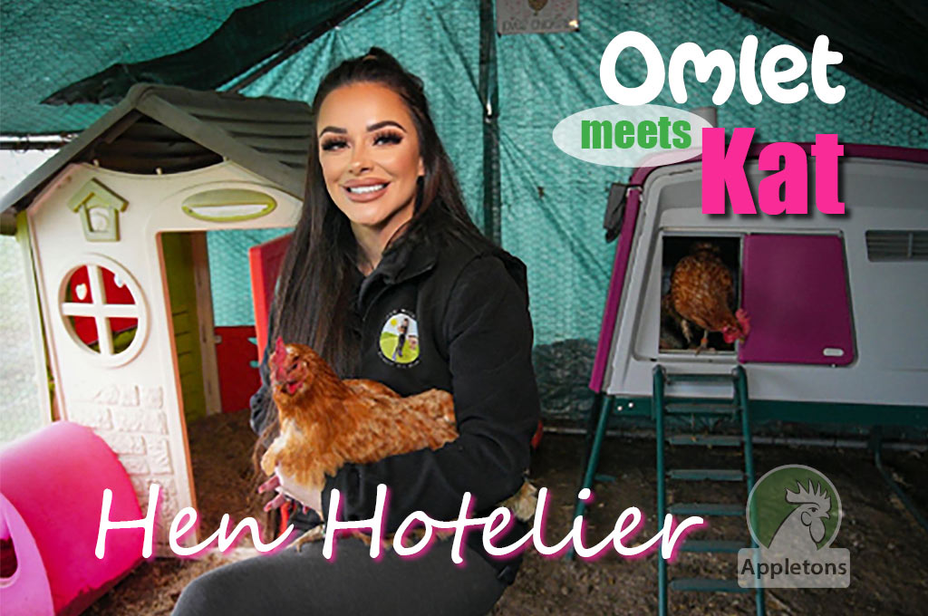 Omlet Meets Kat