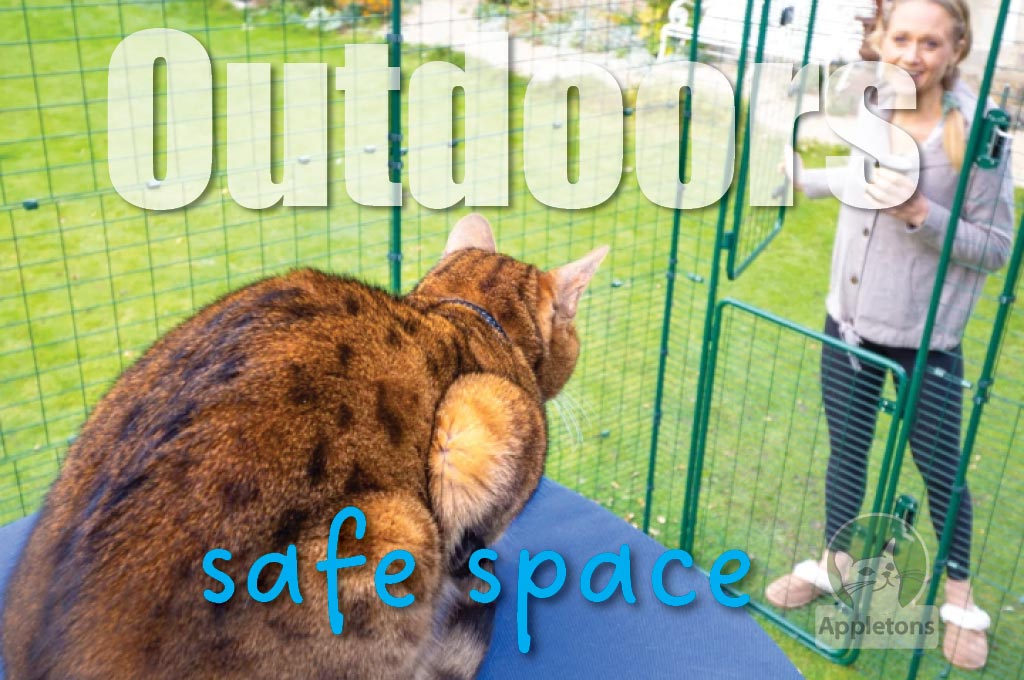 Outdoor Time for Indoor Cats