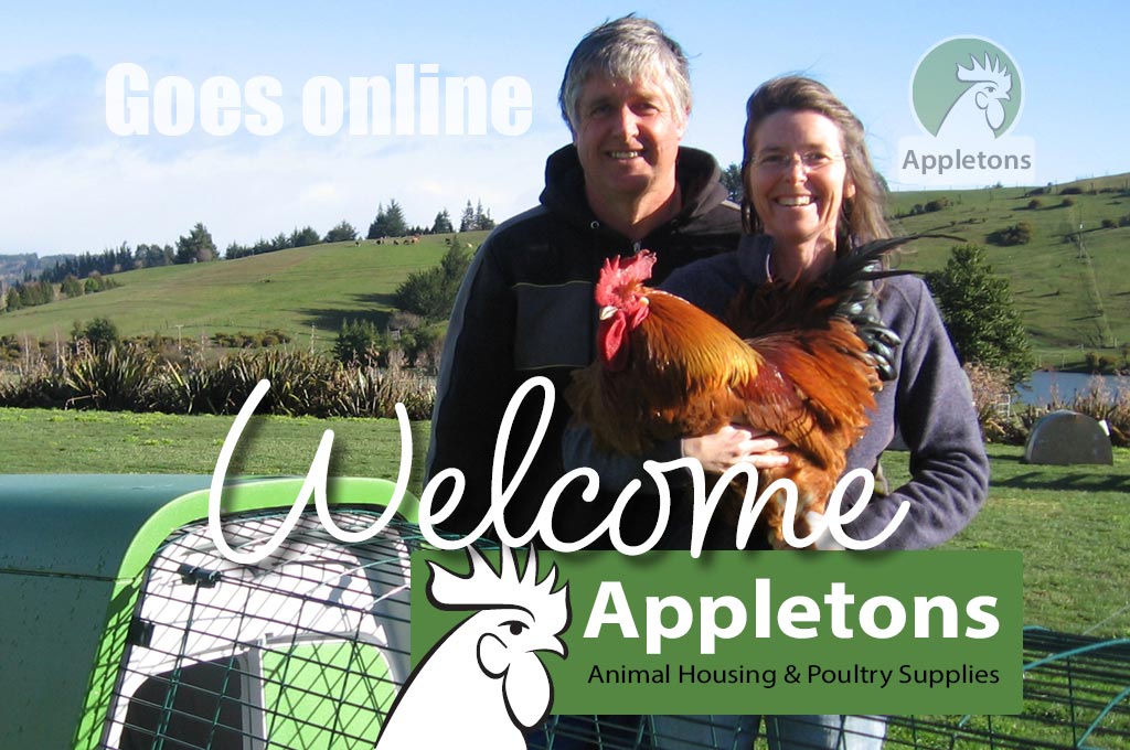 Blog Welcome to Appletons Now Online