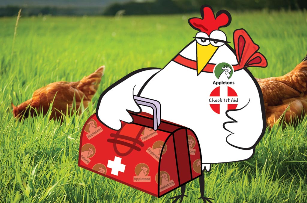 First Aid for Chickens