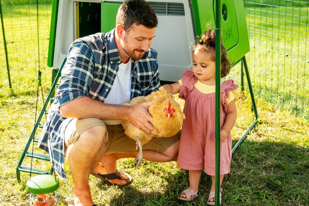 Appletons Keeping Chickens 101 - everything you need to know about keeping hens