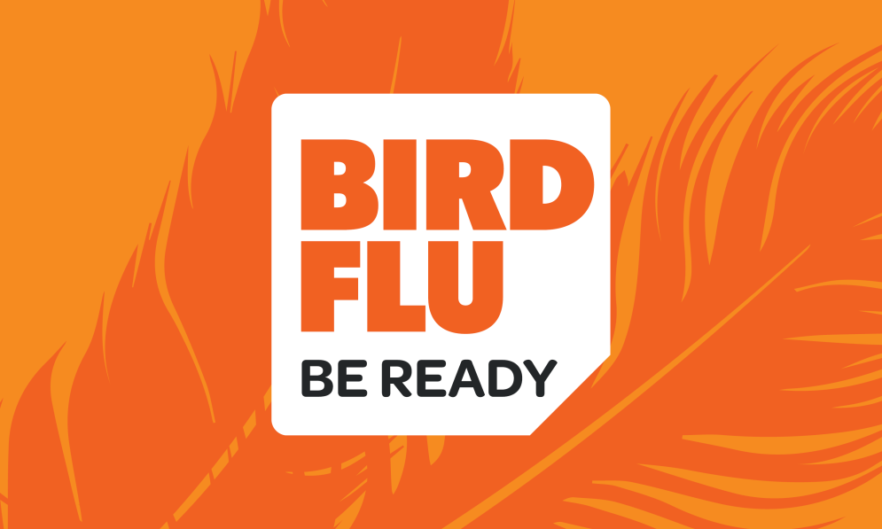 Protect Your Flock From Bird Flu