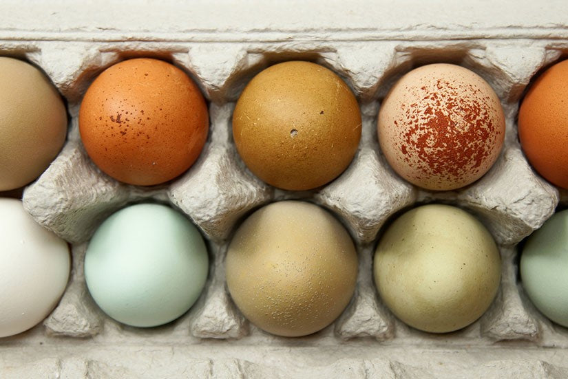 Multi-coloured eggs in egg carton