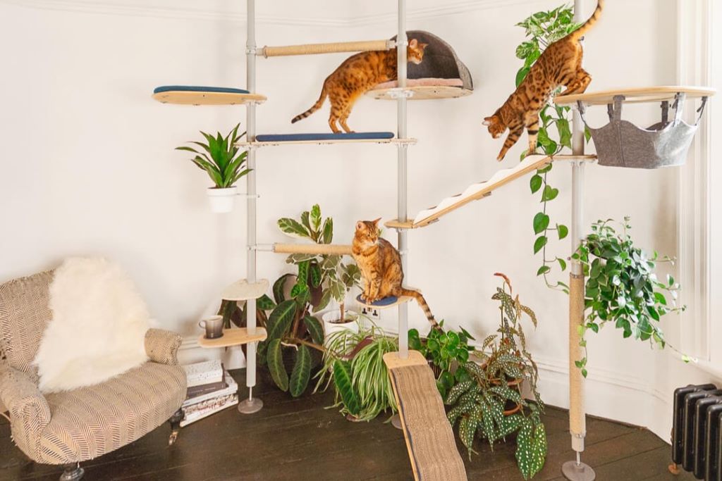 Omlet Indoor Cat Tree