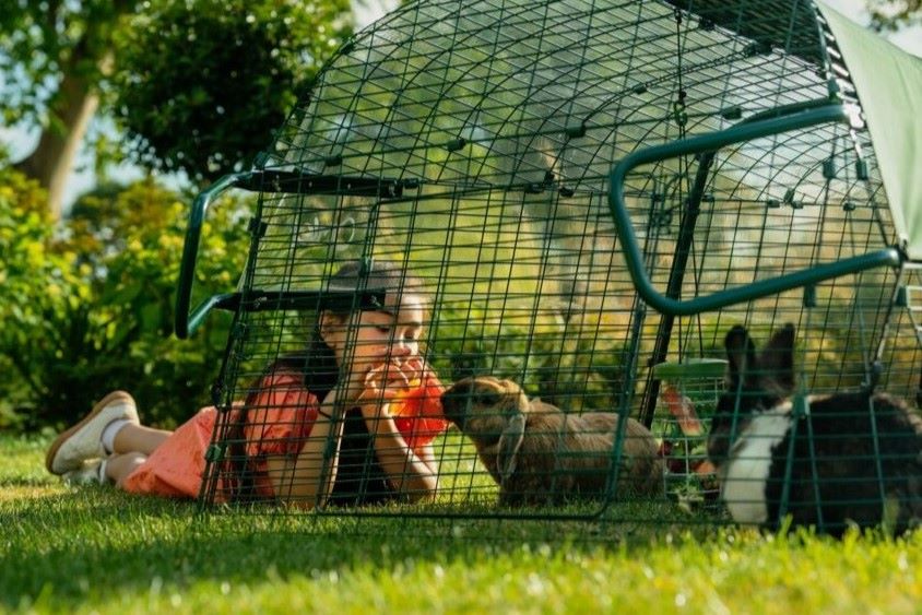 Children playing with pet rabbit in hutch