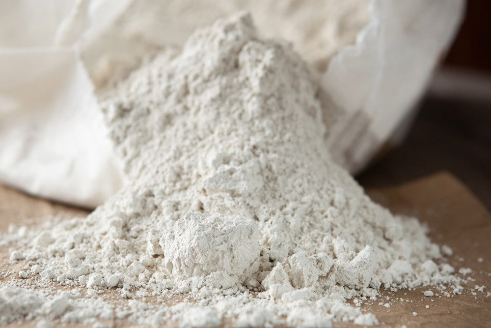 Diatomaceous Earth