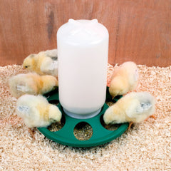 Chick feeder