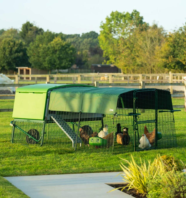 Omlet Eglu Pro with run and heavy duty run covers