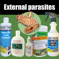 Poultry External Parasites