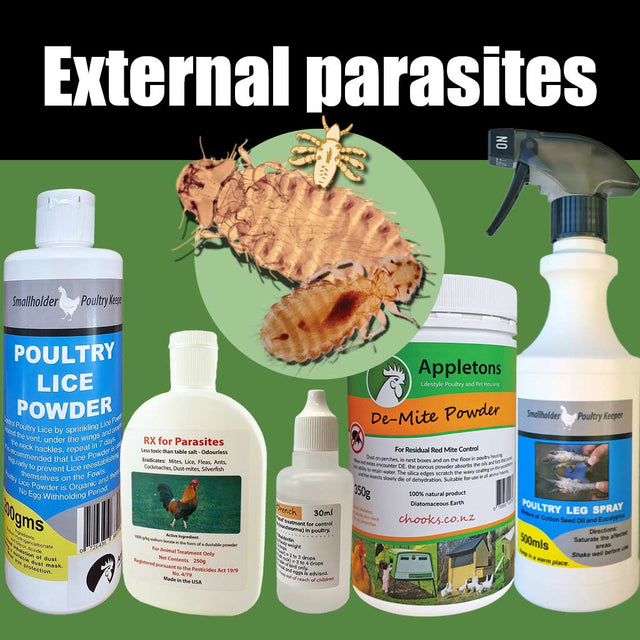 Poultry External Parasites