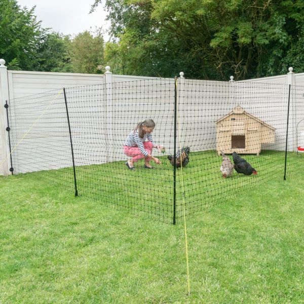 Omlet Chicken Fencing