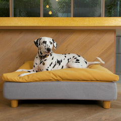 Topology Customisable Luxury Dog Beds