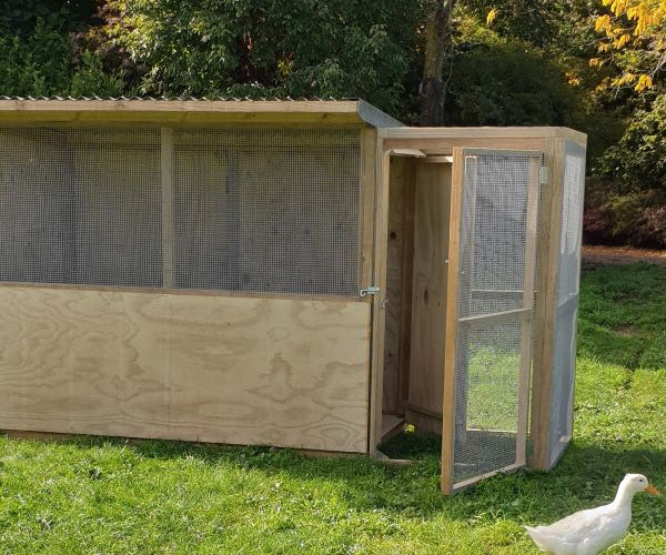 Timber Bird Aviaries