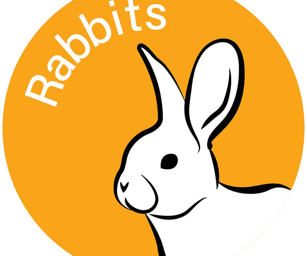 Top-Quality Rabbit Products for Optimal Care and Enrichment