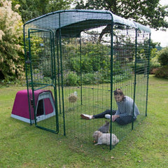 Outdoor rabbit run with hutch