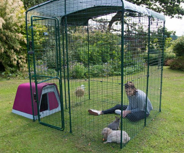 Walk-In Pet Runs & Animal Enclosures | Appletons