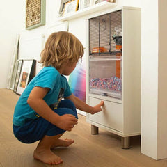 Boy with a pet mouse