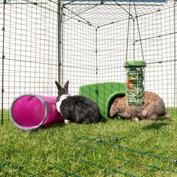 Zippi Shelter and Tunnels for rabbits and guinea pigs