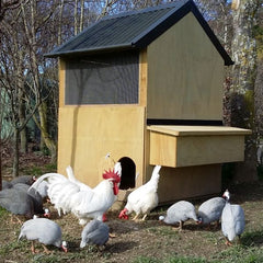 Timber hen house from Appletons