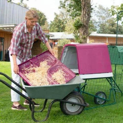 Cleaning purple eglu coop