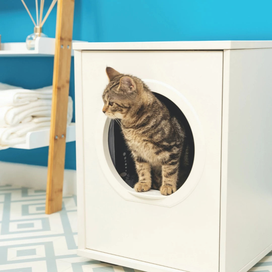 Cat Litter box