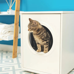 Cat Litter box