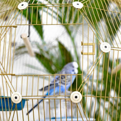 Budgie-geo-cage