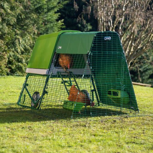 Eglu weather protection for chicken coops