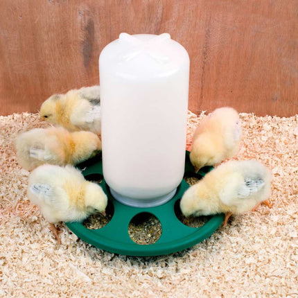 1kg 7-Hole Jar Feeder for Chicks & Quail